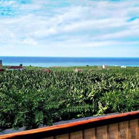 Apartamento El Tejar Tazacorte Εξωτερικό φωτογραφία